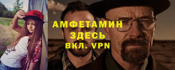 шишки Арсеньев