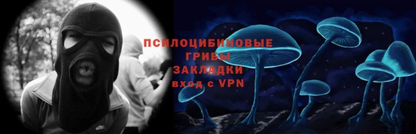 прущий лед Аркадак
