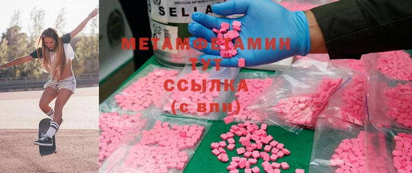шишки Арсеньев